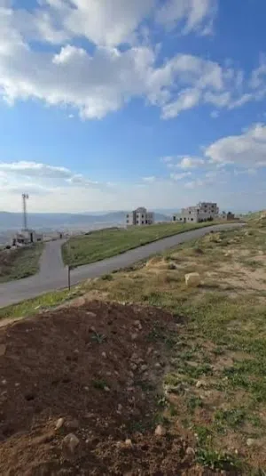 Mixed Use Land for Sale in Amman Hjar Al Nawabilseh