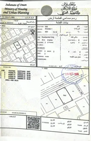حلة النهضة - عبري