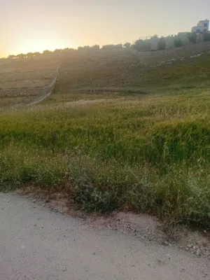 Mixed Use Land for Sale in Jerash Al-Mastaba