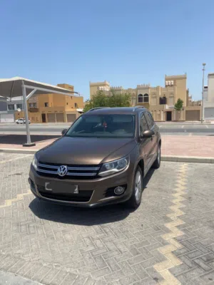 Volkswagen Tiguan Model 2014