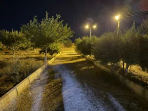 Farm Land for Sale in Benghazi Sidi Faraj