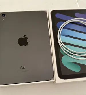 Apple . iPad Mini 6 . 256 GB0