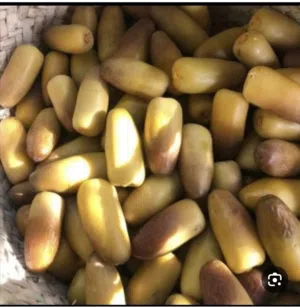 رطب نغال للتوصيل لمسقط وكافة محافظات السلطنة