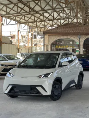BYD سيجول 2024 زيرو - تقطع مسافة 300 كم بالشحنة ((قابل للبدل))