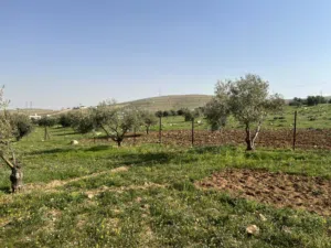 Farm . 3400 m2 . Agent0