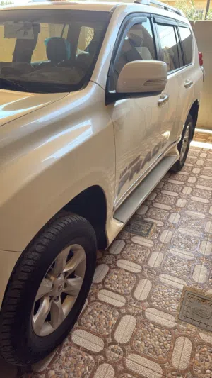 برادو كويتي 2013