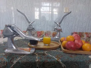 معصارة فواكه مع فلتر للتصفيه