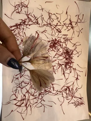 Premium Super Negin Persian Saffron