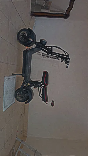 سكوتر هارلي Citycoco Harley scooter