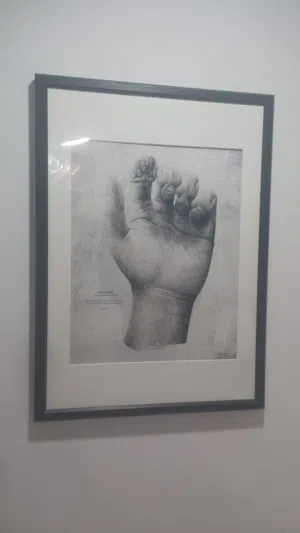 Display Frames