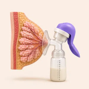 مضخة حليب الأم اليدوية المريحة REALBUEE (موديل MY-370) مع رضّاعة سعة 150 مل  مضخة حليب يدوية مبتكرة