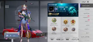 Pubg Accounts and Characters for Sale in Ramallah and Al-Bireh