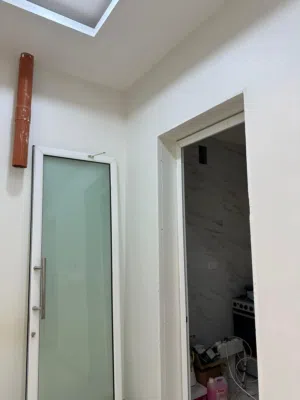 Aluminum Door  250*90cm