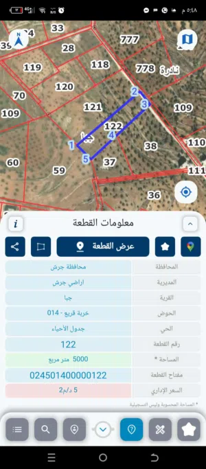 قطعه ارض مزىوعه زيتون جرش حدوديه للمفرق