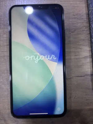 iPhone 11 Pro Max 256Go