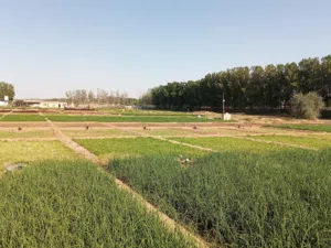 Mixed Use . 1500000 ft² . Landlord1