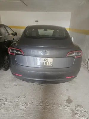 Tesla3 Standard plus 2021