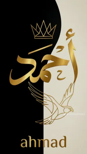 احمد هشام 