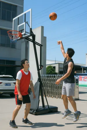 ستاند سلة أكريلك نوع فخم مع ذراع تحكم بالإرتفاع