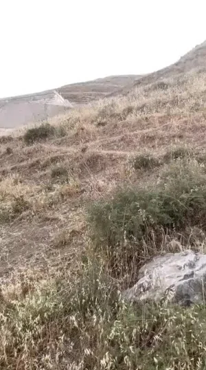 Residential Land for Sale in Nablus Asira Ash-Shamaliya