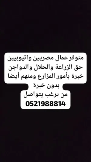 متوفر عمال مزارع مصريين اثيوبيين وجميع العمالة والمزارع