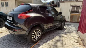 Nissan juke 2012