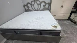 Rest master mattress