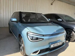Dongfeng Nammi Box 2024   دونجفينج نامي بوكس 2024