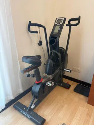 Home bike GIR DUNE
