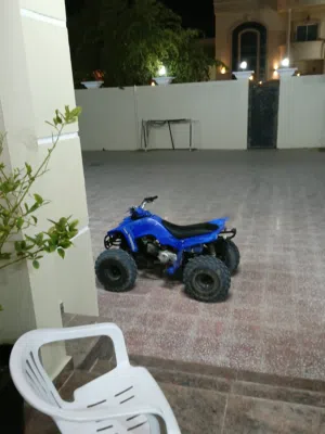 Yamaha Raptor 80 For sale