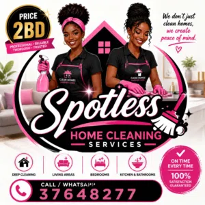 Cleaning services