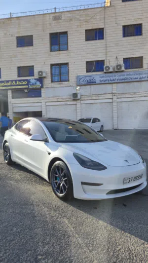 Used Tesla Model 3 in Amman