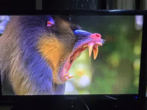 شاشة samsung s24D330 للبيع