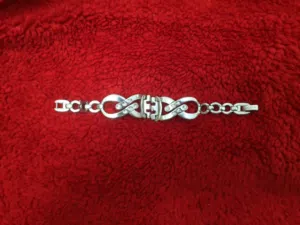 كستك ساعة سواتش الأصلي