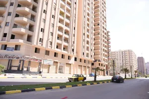 Apartment . Egypt . Landlord0