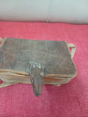 شنطه بأسلوب غريب وجميل