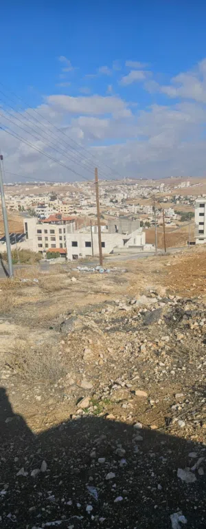 Residential Land for Sale in Amman Shafa Badran