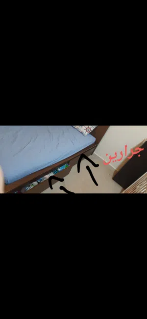 تخت مفرد من حجم كبير