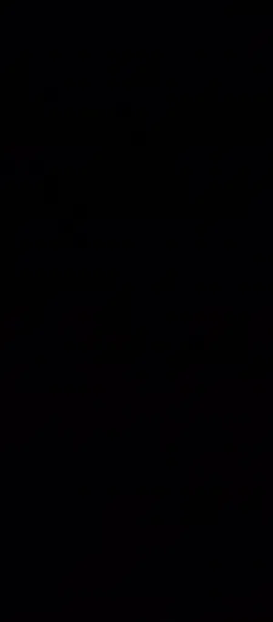 محل للايجار في اريحا شارع فلسطين