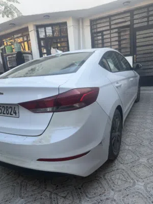 النترا ابيض 2018