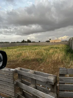 قطعة ارض مساحتها 1000متر تطلح سكن او استراحة بها صور من اربعة جهات الاواق ساليمة ومن مالك مباشرة