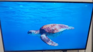تلفزيون 43 بوصة HD مستعمل استعمال انظيف خالي من العيوب تلفزيون اموره طيبة من كل شي وتعال وجرب وشوف