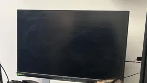 شاشه MSI / G273Q