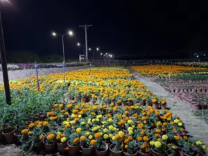 مكاتب للبيع في دير أبي سعيد
