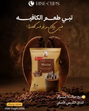 مصممه جرافيك من البيت إعلانات أو لوجوهات أو سوشيال ميديا أو سيره ذاتيه في اقل وقت