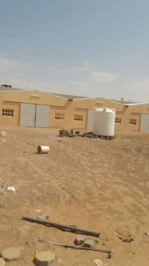 ارض للإيجار في الصناعيه الجديده العين
