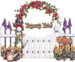كورنر متحرك