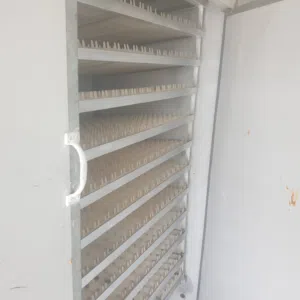 فقاسه ممتازه