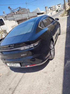 Byd ديستروير استخدام بسيط