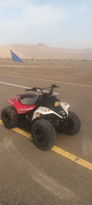 taiwani under 150 cc automatically
